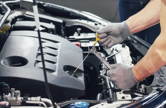 Gold Maintenance Program